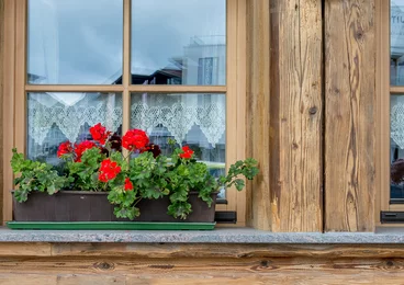 Detailaufnahme Balkon mit roten Balkonblumen 